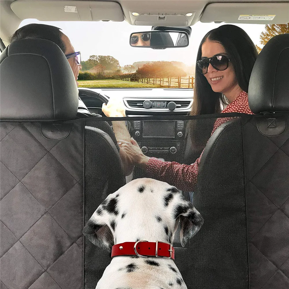 9625662296_260880224