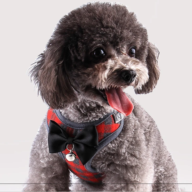 4592068149_1043553121