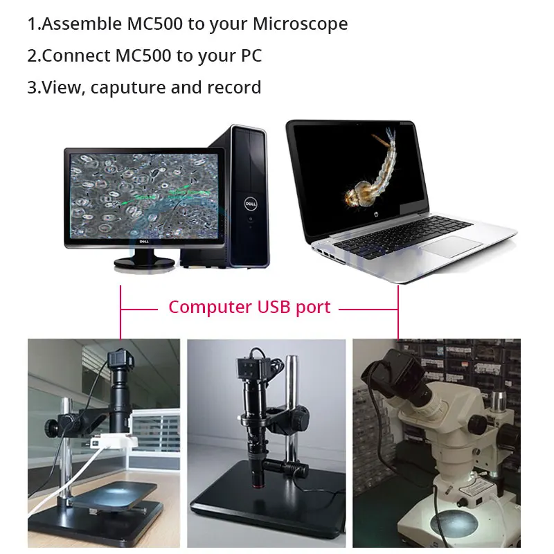 5MP USB цифровой микроскоп электронный окуляр CCD камера видео с адаптером для стерео Биологический микроскоп