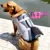 Pet Life Vest Shark Mermaid Swimsuit Dog Swimming Suit Solid 2020 Летняя Мода Купальники Одежда для маленьких средних Собак
