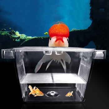 

Acrylic Fish Breeding Isolation Box Fish Tank Aquarium Breeder Box Double Guppies Hatching Incubator Aquarium Pet Supplies