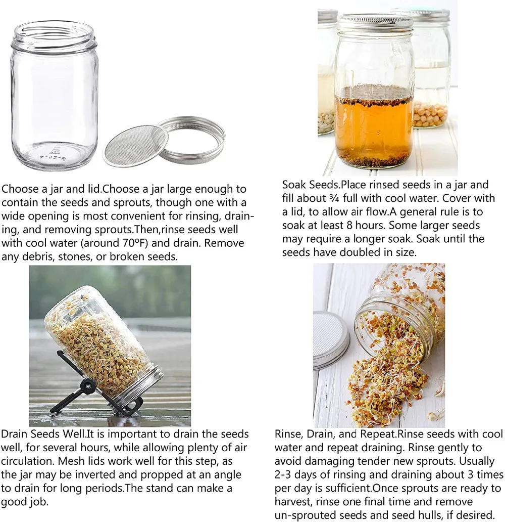 1Set Seed Sprouter Germination Cover Kit Sprouting Mason Jars with Stainless Steel Strainer Lids Stainless Steel Germinator Stan