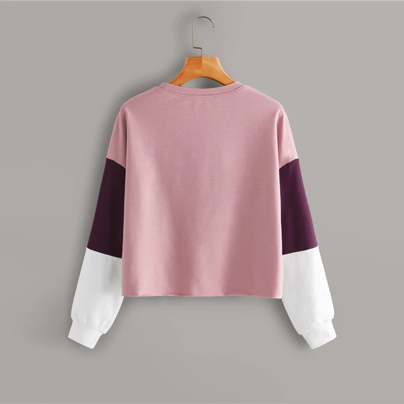 SHEIN Падение плеча Colorblock Повседневный свитер для женщин, пуловер осенняя одежда для активного отдыха с длинными рукавами Повседневные толстовки Топы