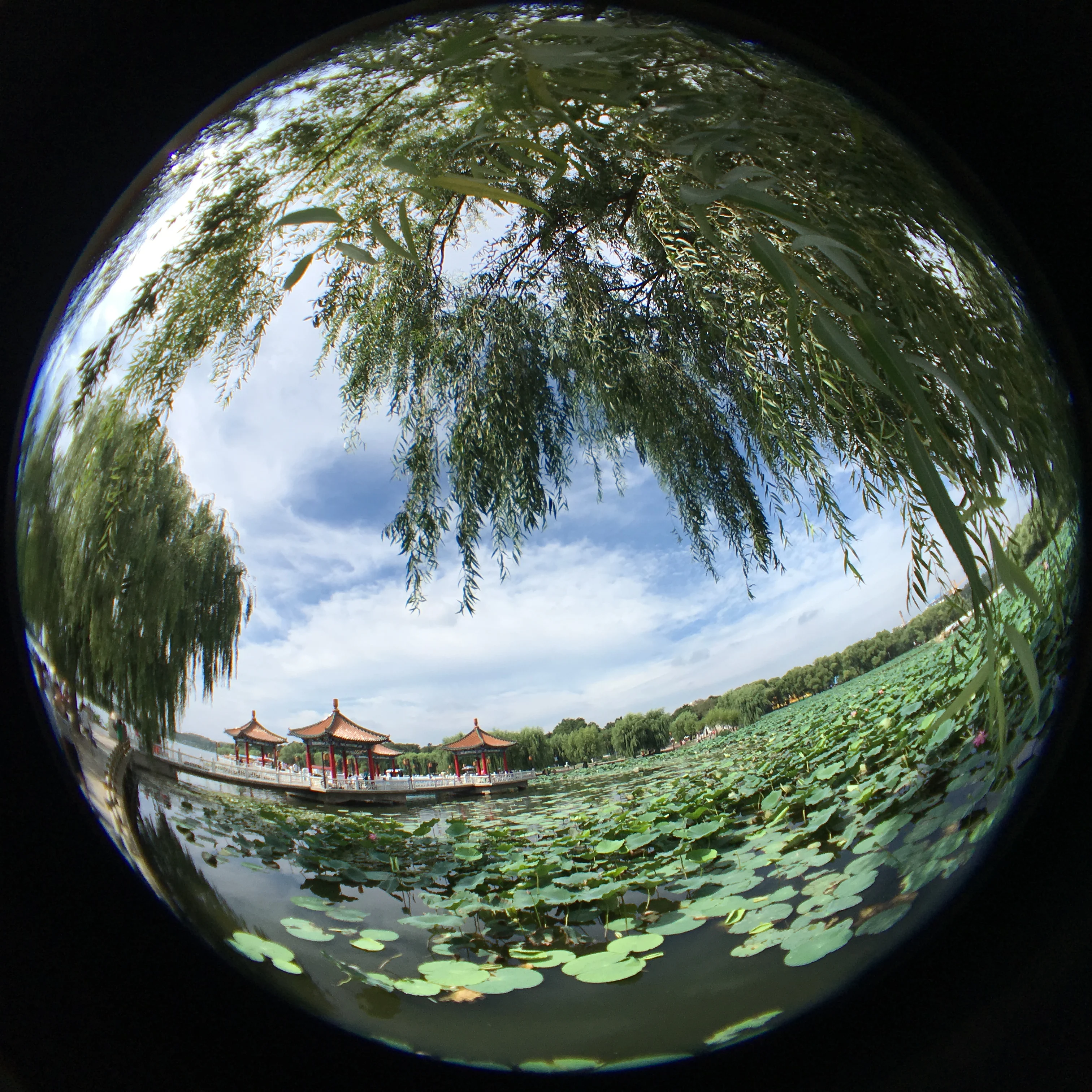 PAT-590 Wireless Hdmi Extender TV o Video