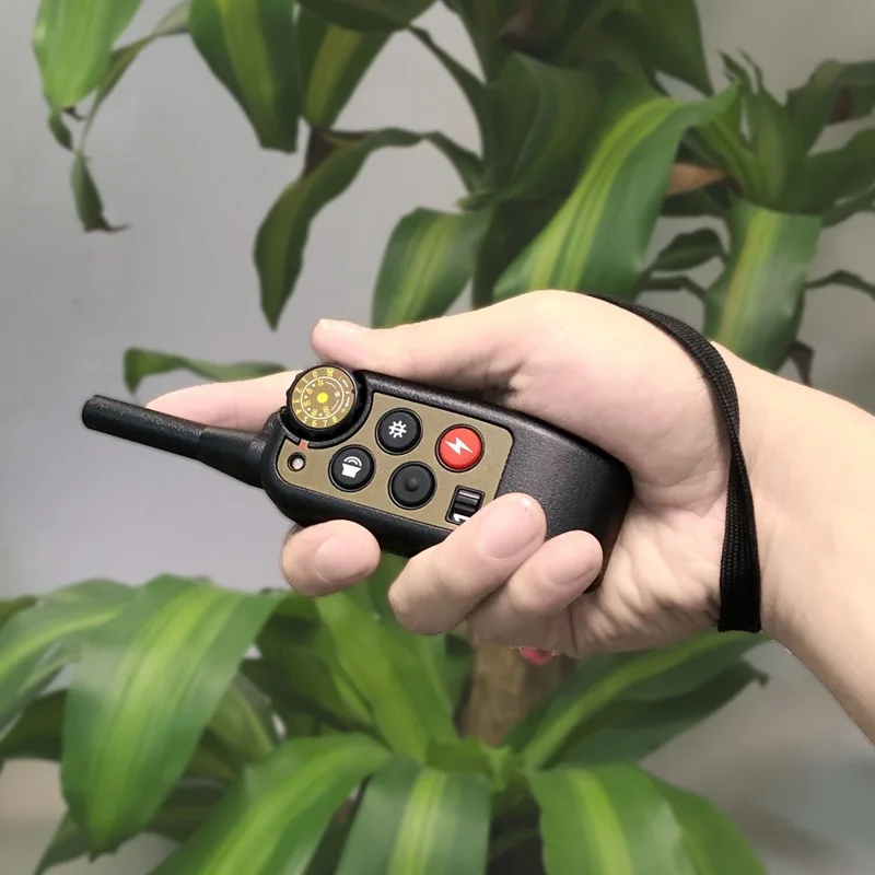 12172183792_1832428738