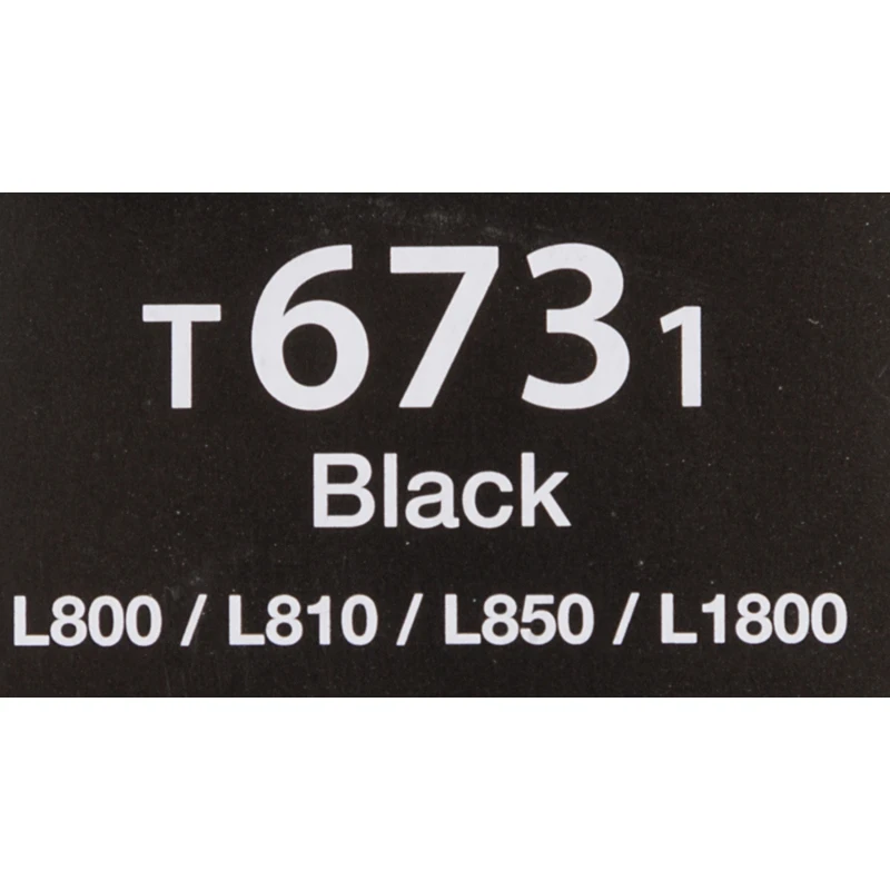 Картридж EPSON T6731, черный