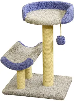 

Fluffy kittens Cook Fluffy carpet is gray with blue