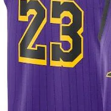 Мужские футболки lebron 23 lebron james