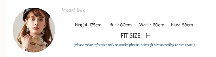 winter F MODEL INFO