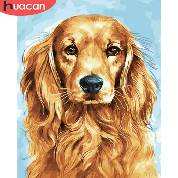 

HUACAN DIY Oil Painting By Numbers Dog Animal Kits Drawing Canvas Pictures By Numbers HandPainted Home Decor Gift