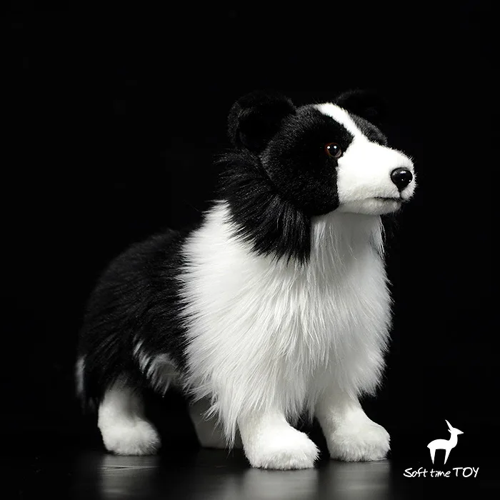 

Новая игрушка Border collie, собака, плюшевая игрушка, имитация собаки, 28x25 см, мягкая кукла, детская игрушка, украшение, подарок на день рождения h1981