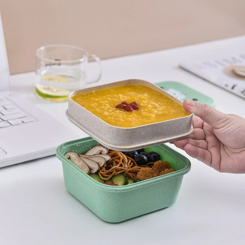 Cute Animal Pattern Plastic Lunch Food Box Children Baby Snack Box Double Layers Lunchbox Portable Microwave Food Container