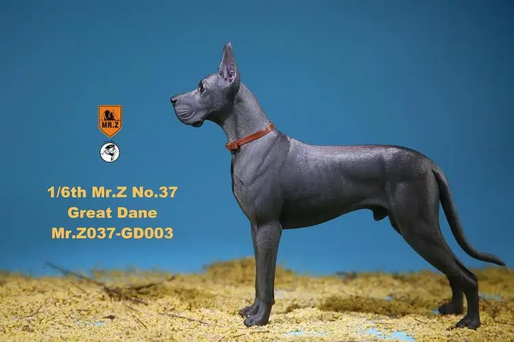 1/6 масштаб Pet Dog модель Mr. Z MRZ037 немецкий Great Dane(все 6 цветов) для 12 дюймов Экшн фигурки аксессуары коллекции