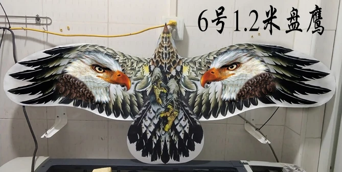 kite