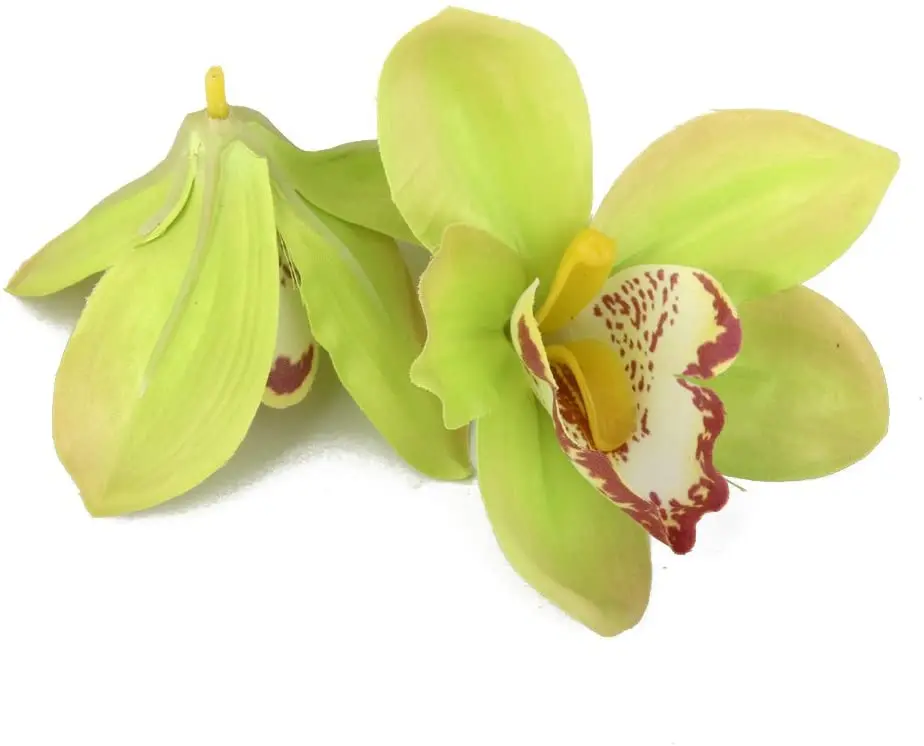 51a-t6Bv8RL._AC_SL1024_