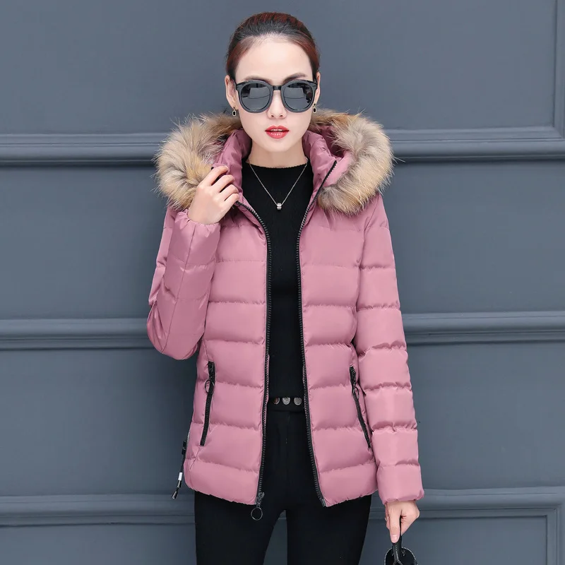 2019 Korean style Thick down Feather Cotton padded Clothes Women's ...