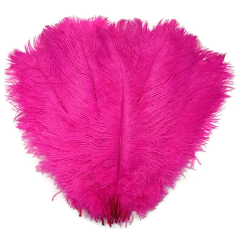 10pcs/lot 15-70CM Rose Red Ostrich Feather Costume Wedding Decoration Feathers Supplies Carnival Dancer Plumage | Дом и сад
