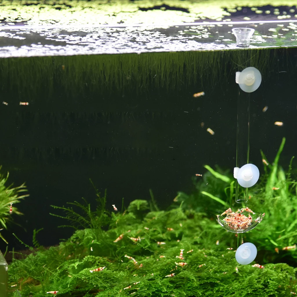 Acrylic Shrimp Feeding Dish Fish Feed Food Tray - Clear Basin Container with Suction Cup Fish Tank Aquariums Accessories