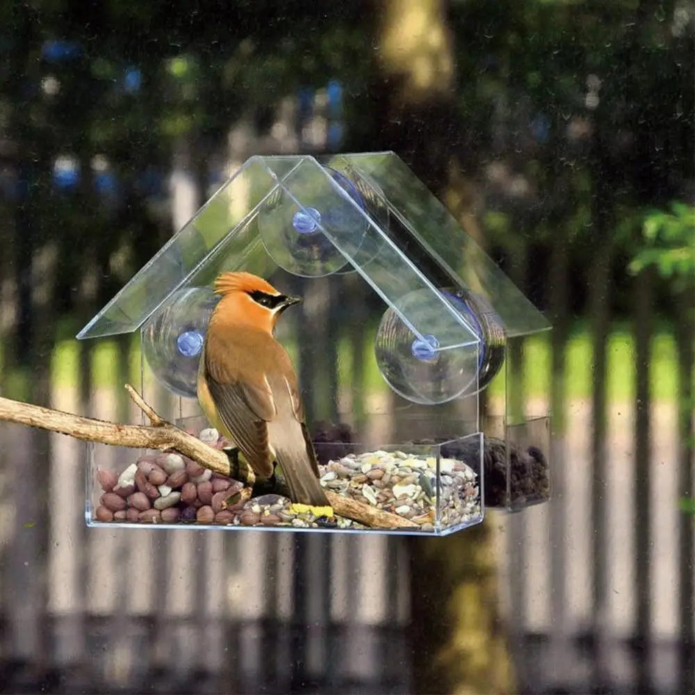 

Clear Glass Window Viewing Bird Feeder Hotel Table Seed Peanut Hanging Suction Alimentador Adsorption House Type Bird Feeder