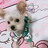 Winter Warm Pet Clothes for Small Dogs French Bulldog Yorkshire Sweatshirt Cozy Puppy Dog Sweater Hoodie mascotas gotas Clothing 3