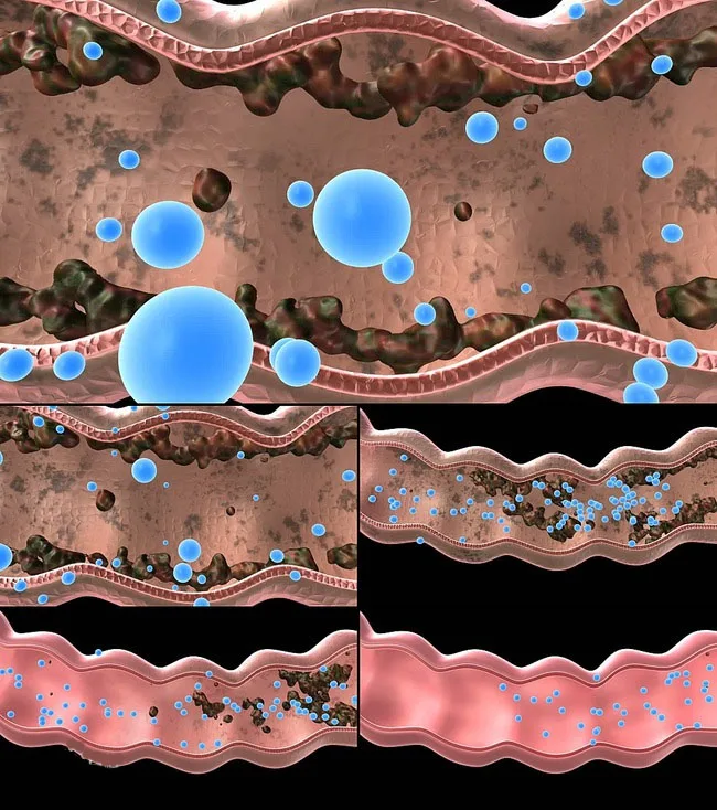 Haa1fea2422c24a96aa0fba718a93b2b0R.jpg?width=650&height=734&hash=1384