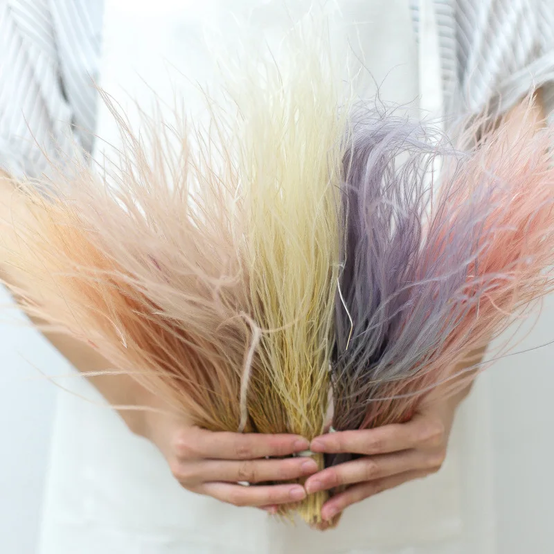 Dried-Feather-Grass-Preserved-Flowers-Dry-Flower-Natural-Immortal-Plant ...