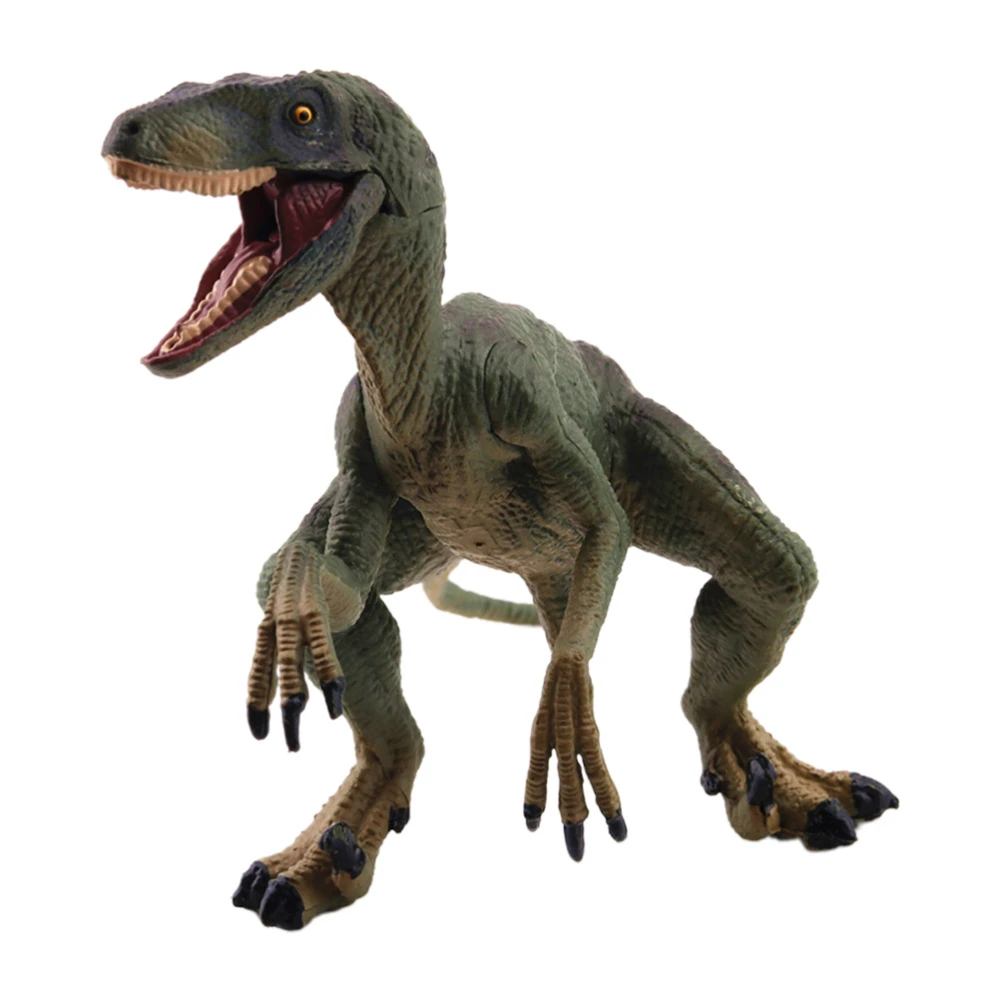 Onafhankelijk in het midden van niets Archaïsch Mini Solid Raptor Draak Gesimuleerde Dinosaurus Model Grappige Dinosaurus  Standbeeld Statische Draak Speelgoed Voor Kids Desktop Versiering  (Groen)|Biologie| - AliExpress