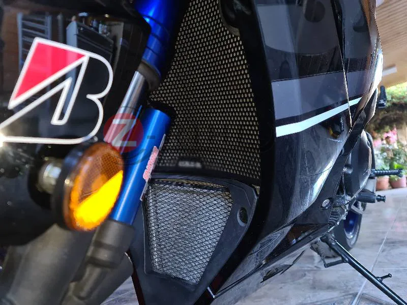For Suzuki Gsx R1000r Gsx R1000 Gsxr 1000 R 17 18 19 Motorcycle Accessories Radiator Grille Guard Cover Protection Covers Ornamental Mouldings Aliexpress