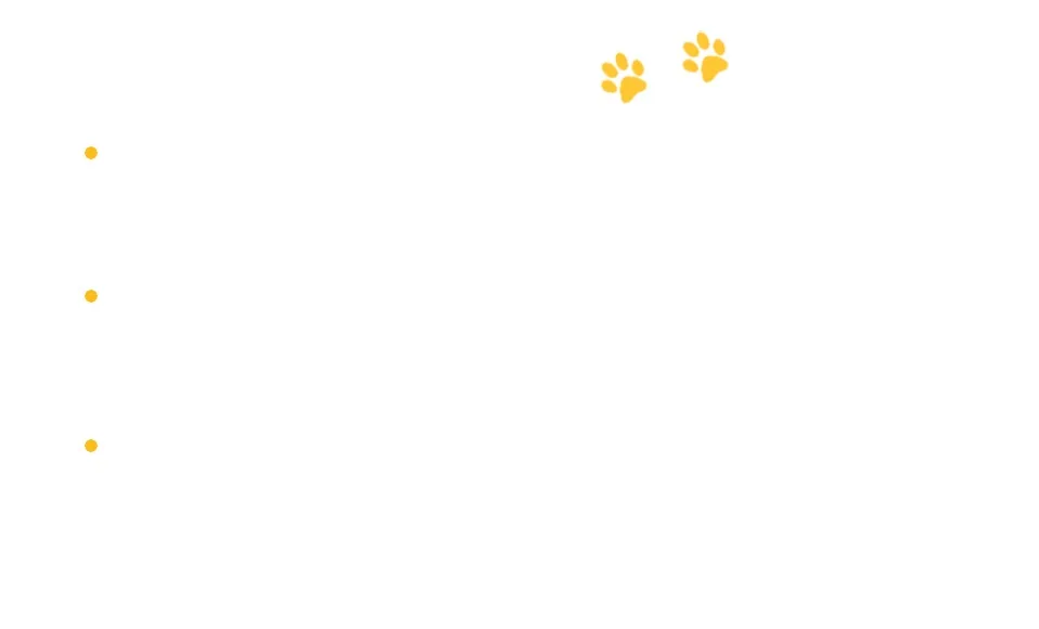 Title 34, Pet Cat Carrier Backpack Transparent Travel Car...
