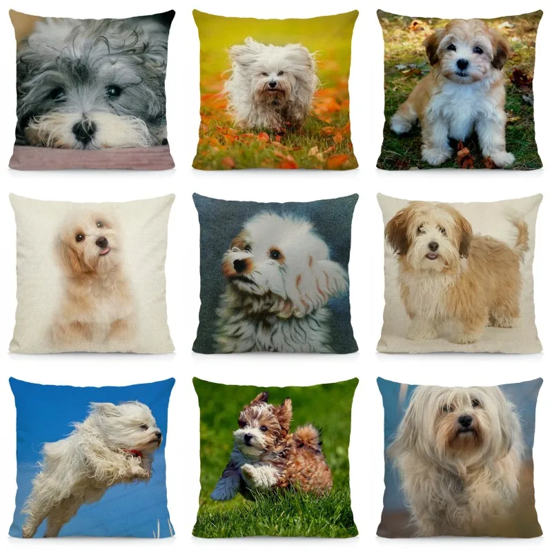 

XUNYU Cushion Cover 45x45 Havanese Pillow Case Home Decoration Dog Pattern DWG043