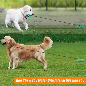 

Outdoor Pet Leash Dog Fixed Peg Dog Toy Dog Push Ball Toy Tooth Cleaning Dog Toothbrush Molar Bite Interactive Pet Elastic Leash
