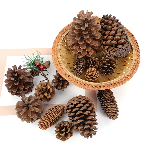 Natural Mini Pine Nuts Artificial Fake Pine Cone Decorative DIY Christmas  Tree Pinecone Decoration for Festival - AliExpress