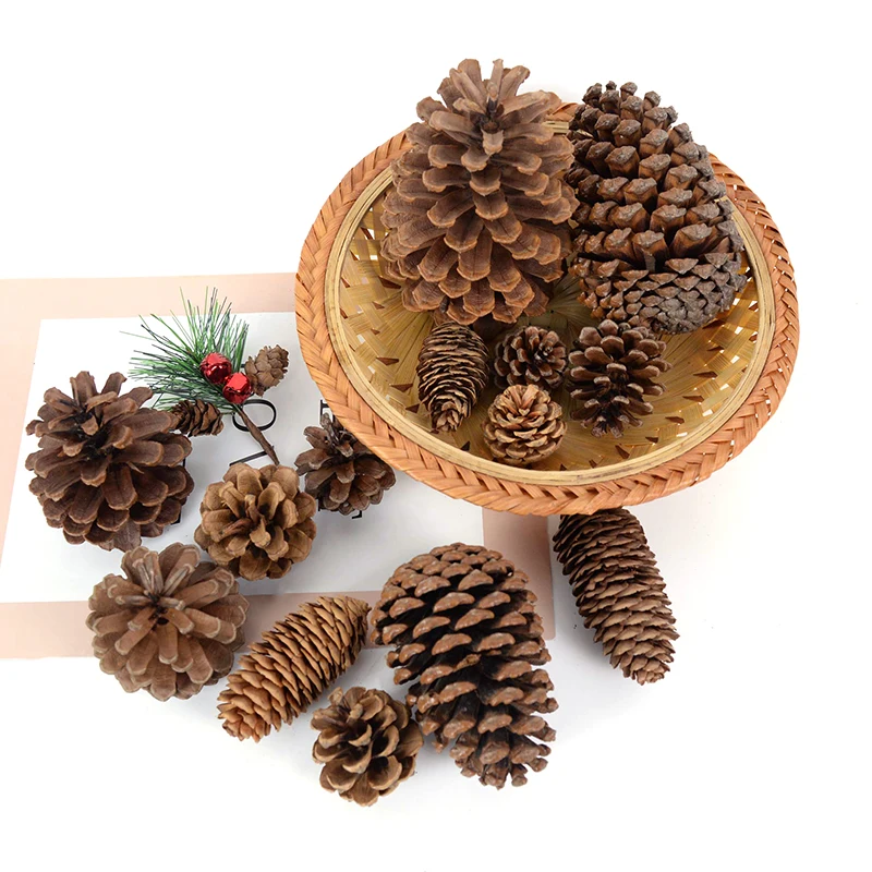 Natural Mini Pine Cone Artifcial Fruit Pinecone DIY Home Christmas Party  Decors