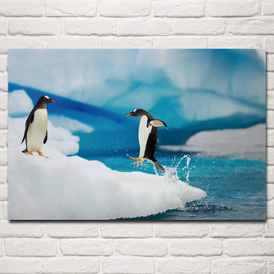 Gentoo Пингвины Полярный Дикая жизнь природа животных Птица iceburg KB413 гостиная дома украшение, современное искусство деревянная рамка Плакат