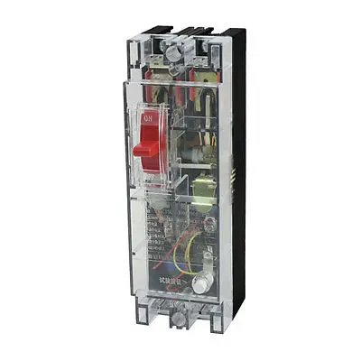 

5000A Breaking Capacity 2 Poles Leakage Circuit Breaker AC 380V 100A