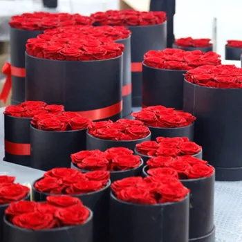 Rosas rojas naturales pero preservadas para que no se estropeen, rosas para san valentin, rosas para decorar, para fiestas, rosas preservadas