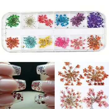 

3D Nail Art Decoration Natural Real Dried Flower Acrylic UV Gel Manicure Nail Decoration 24pcs/box