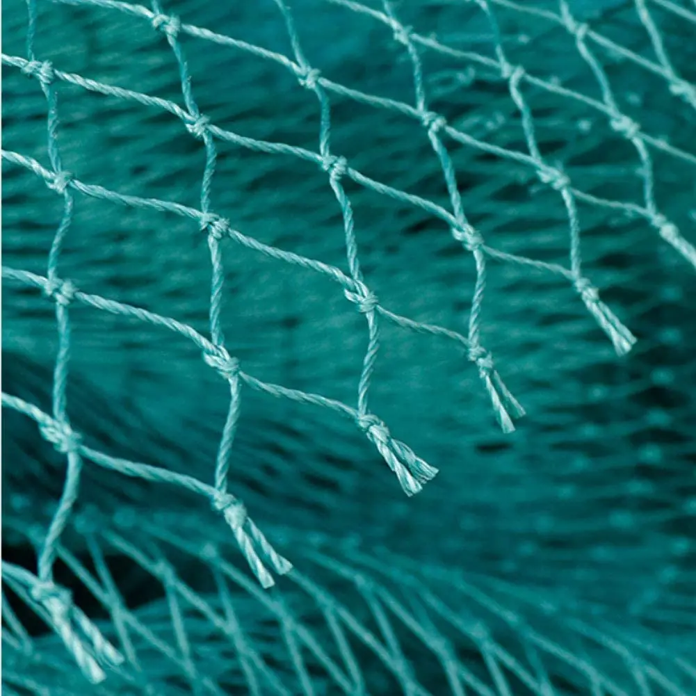 Anti Bird Garden Net 3