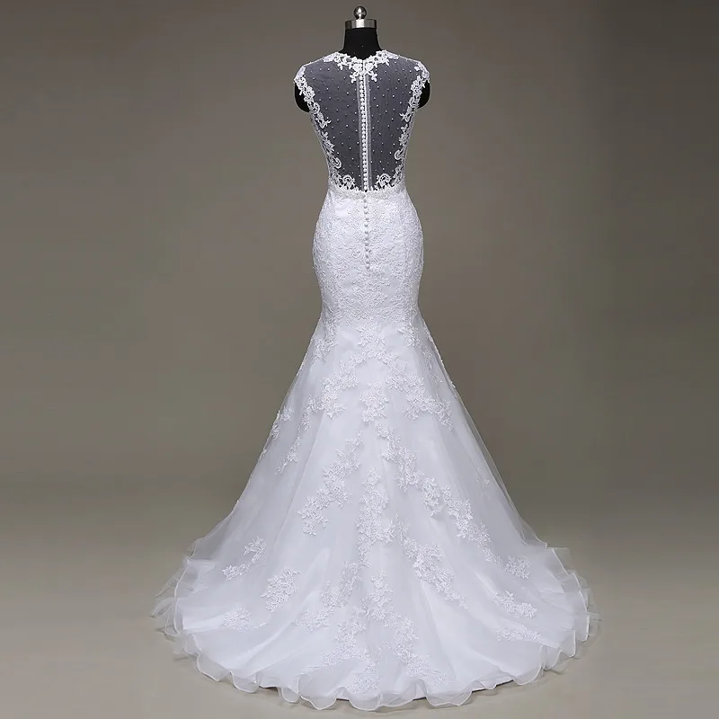 HTB1fK97QpXXXXafXFXXq6xXFXXXt