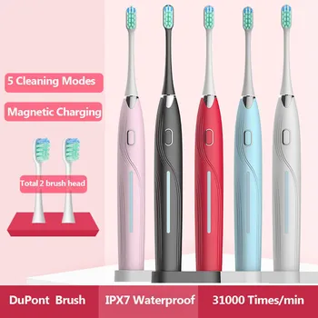 

Magnetic Rechargeable Electric Toothbrush IPX7 Waterproof DuPont Nylon Fine Tip Soft Hair With Replacement Toothbrush Head