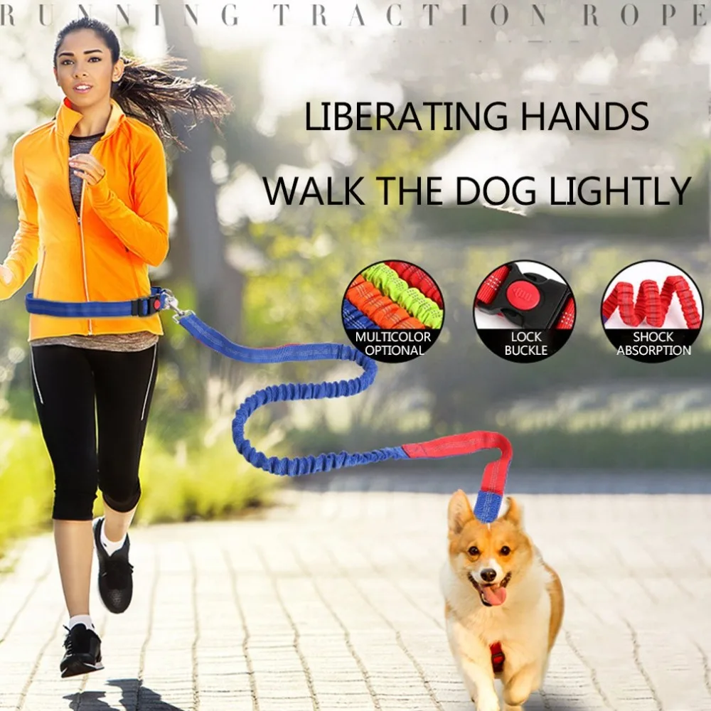 Exquisitely Designed Durable 50226 Anti-rushing Retractable Elastic Nylon Pet Dog Running Traction Rope