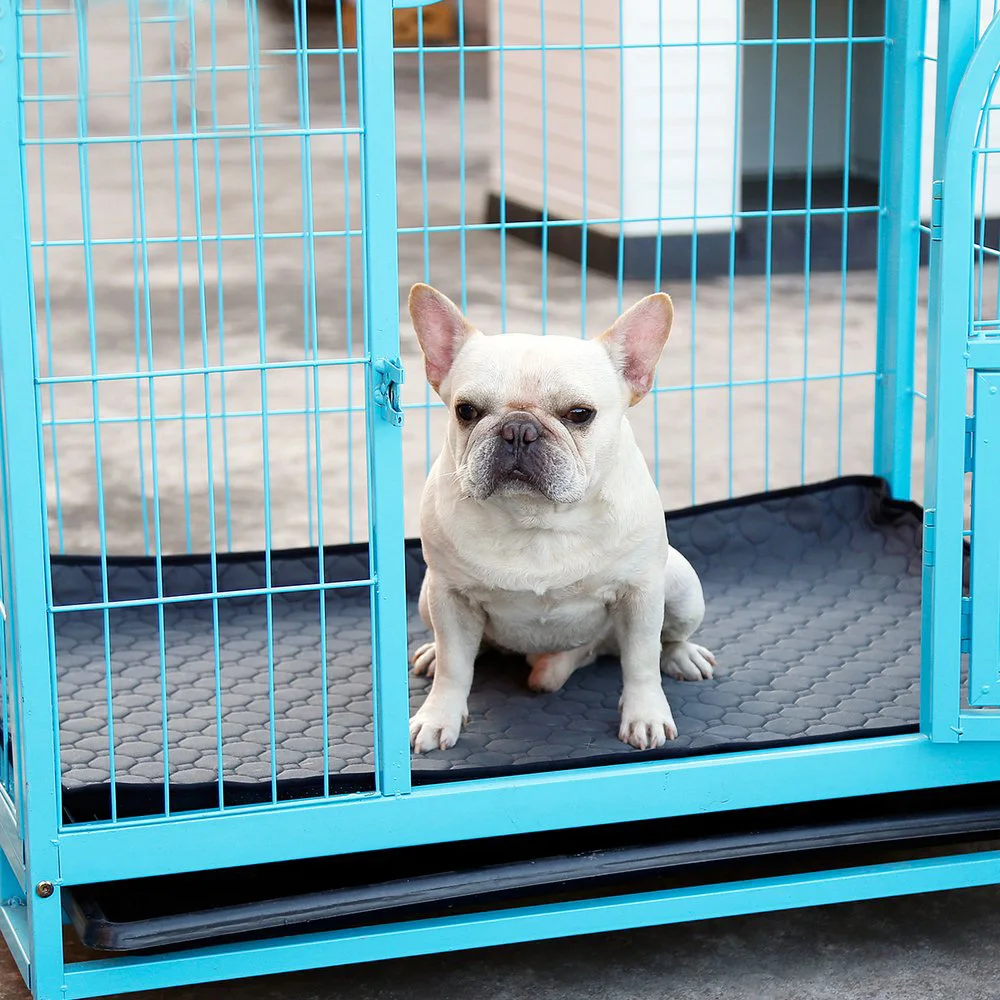 Pet Puppy Тренировочный Коврик Водонепроницаемый моющийся Многоразовые моющиеся мочалки пеленки для собаки кошки кровать диван матрас поглощающий защитный чехол