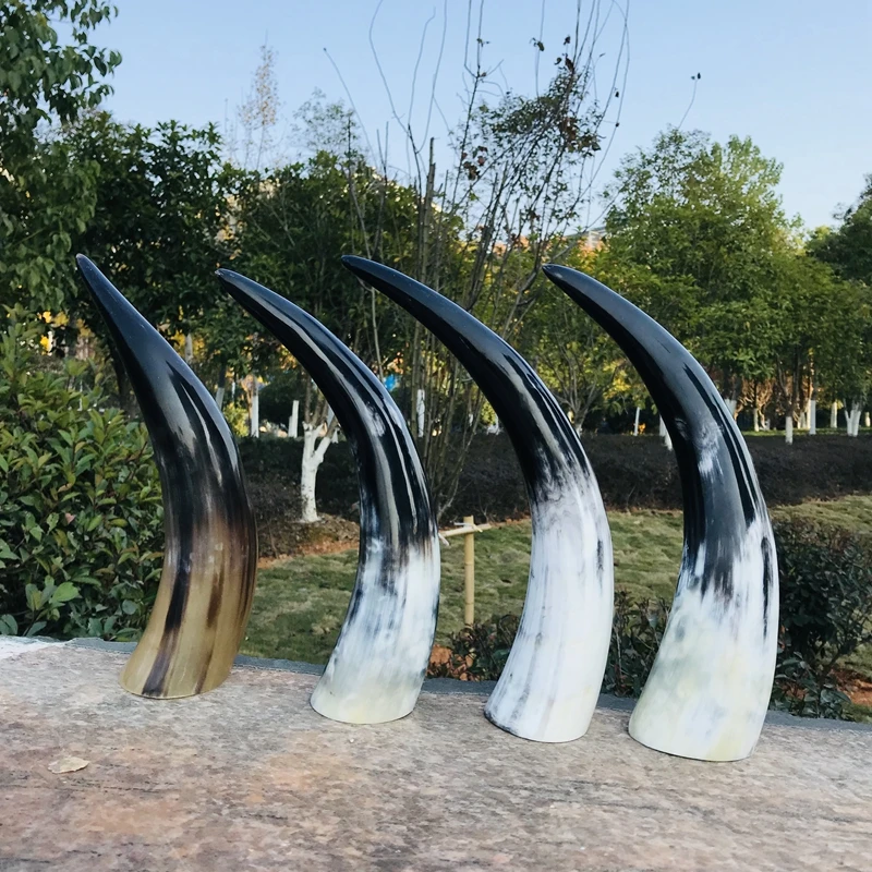 IMG_7158(20191213-144855)