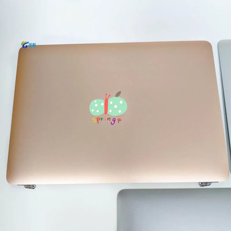 A1534 ЖК-экран в сборе для Macbook 12 дюймов A1534 ЖК-экран дисплей год MF855 MF865 EMC 2746 EMC 2991