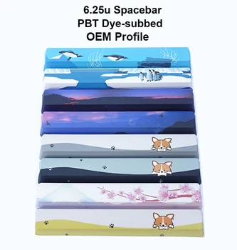 

5-side Dye-sublimated PBT Keycaps 6.25u Spacebars Novelty Keycaps OEM Profile Fit Cherryy MX Switches of Mechanical Keyboards