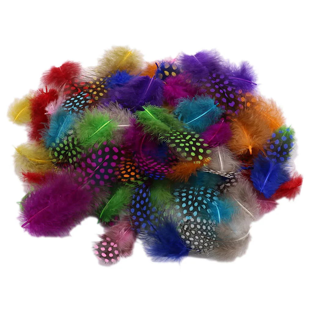 50PCS Beautiful Lots Dyed Guinea Hen Feather Chicken Feathers Craft Decoration Colourful Pheasant Rooster |