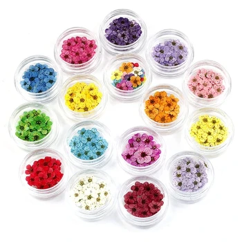 

17Pcs/Set 3D Nail Art Tool Decoration Mix Dried Flowers Nail Jewelry Natural Floral Leaf Stickers Decorations for Women beauty