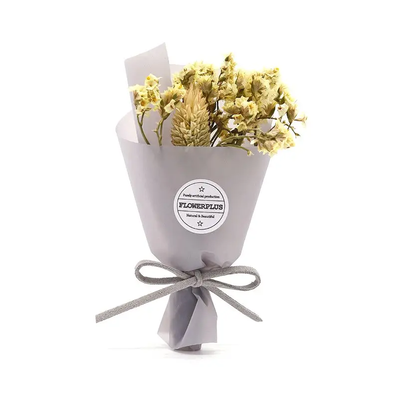 Gypsophila вечный цветок романтический подарок ручной работы изысканный маленький