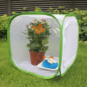 

Insect Butterfly Kit Original Habitat Life Science Education Butterfly Kit Foldable Insect Cage Butterfly Garden BV789