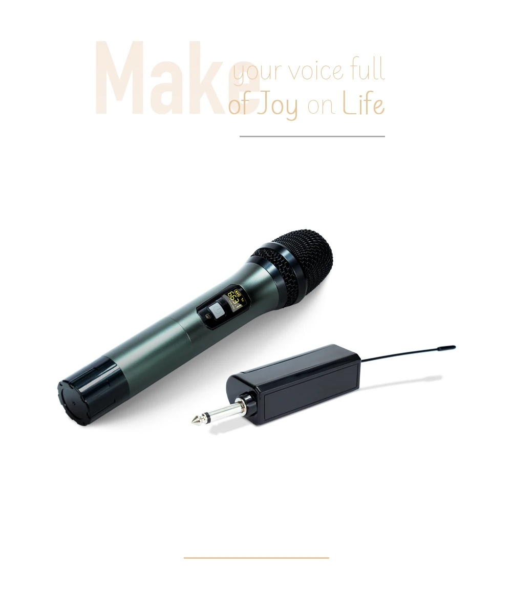 HISINGWELL Wireless Microphone, UHF Metal Dual Handheld Dynamic Mic System,for Meeting Party Singing, Karaoke,Church.